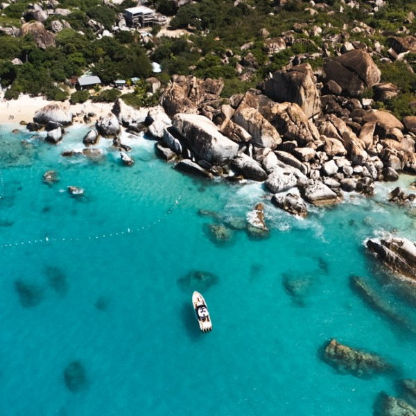 a flock of birds sitting on a rock next to a body of water