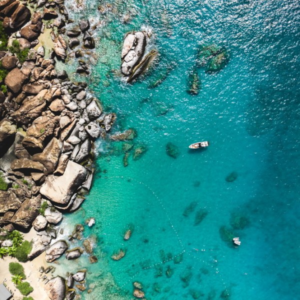 a close up of a rock